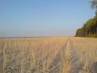 Glebbe 66 _ Hus Suennschien 公寓 *