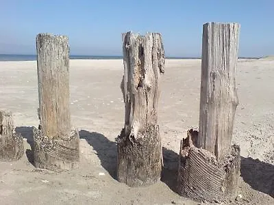 Glebbe 66 _ Hus Suennschien 青斯特