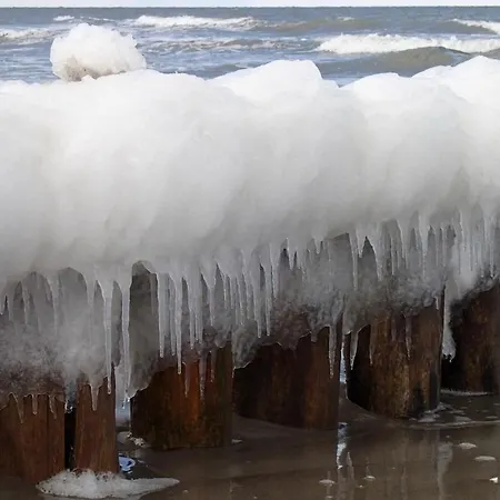 公寓 Glebbe 66 _ Hus Suennschien *